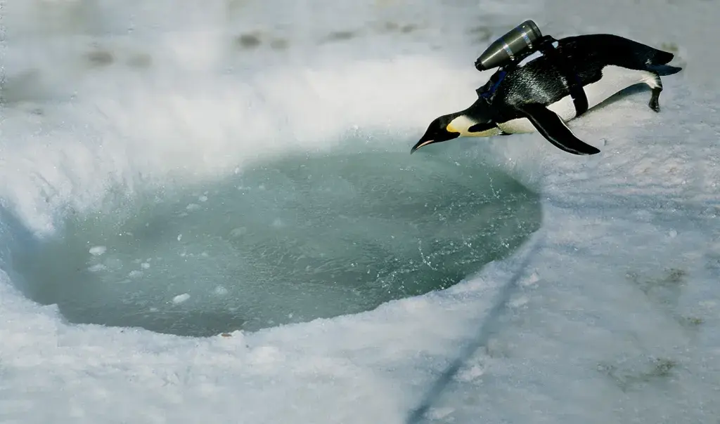 Customer Story National Geographic makes the CritterCam smaller and lighter with SLS 3D printing by Quickparts top banner