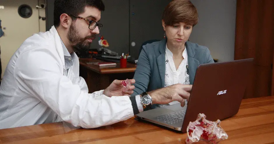 Usuarios del software D2P con modelos