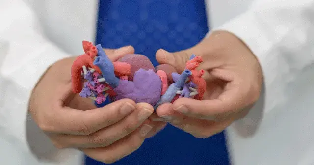 3d-systems-healthcare-anatomic-heart-model-surgeon