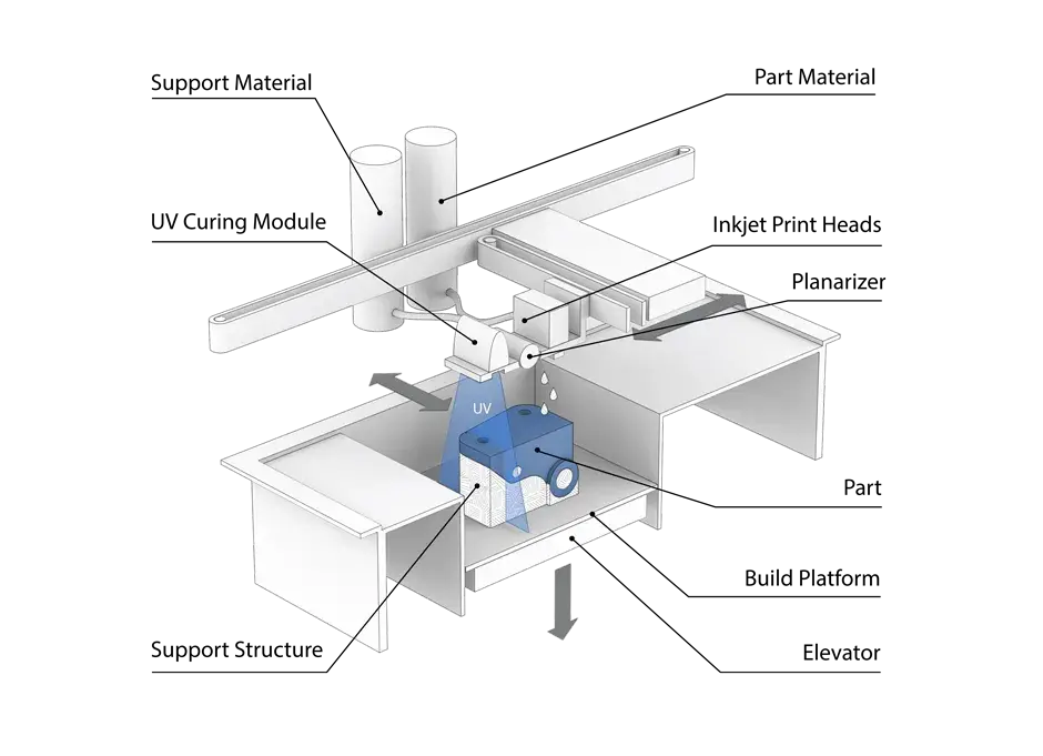 Principio de 300 NextDent