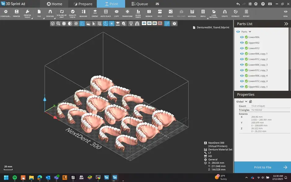 Una captura de pantalla del software 3D Sprint que muestra los archivos NextDent